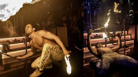 Bellydancers met reptielenshow