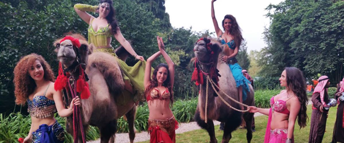Bellydancers Feest