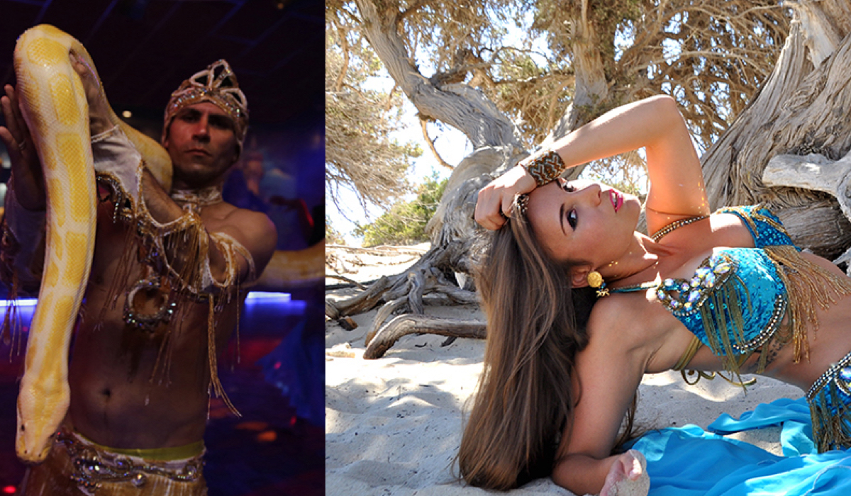 Bellydancers Evenement