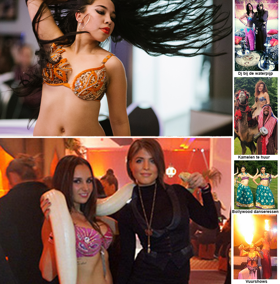 Bellydancers en decorwand met kameel