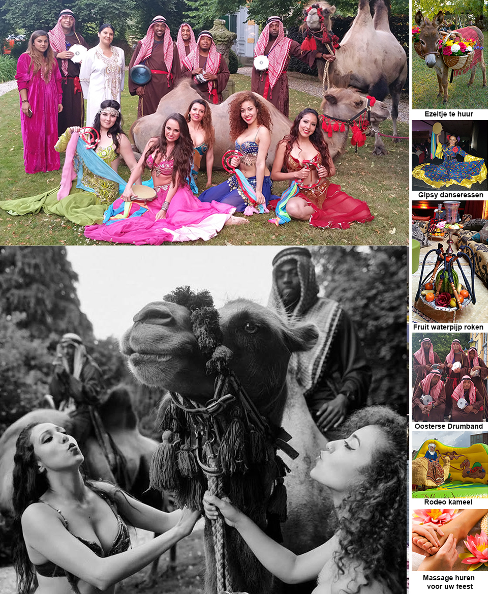 Bellydancers en decorwand met kameel